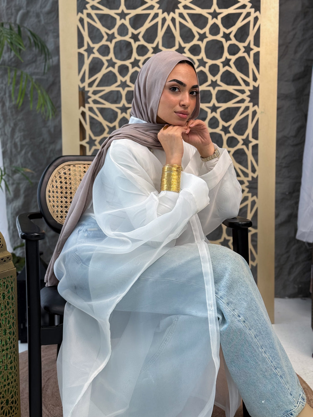 Elegant Sheer Organza Cardigan