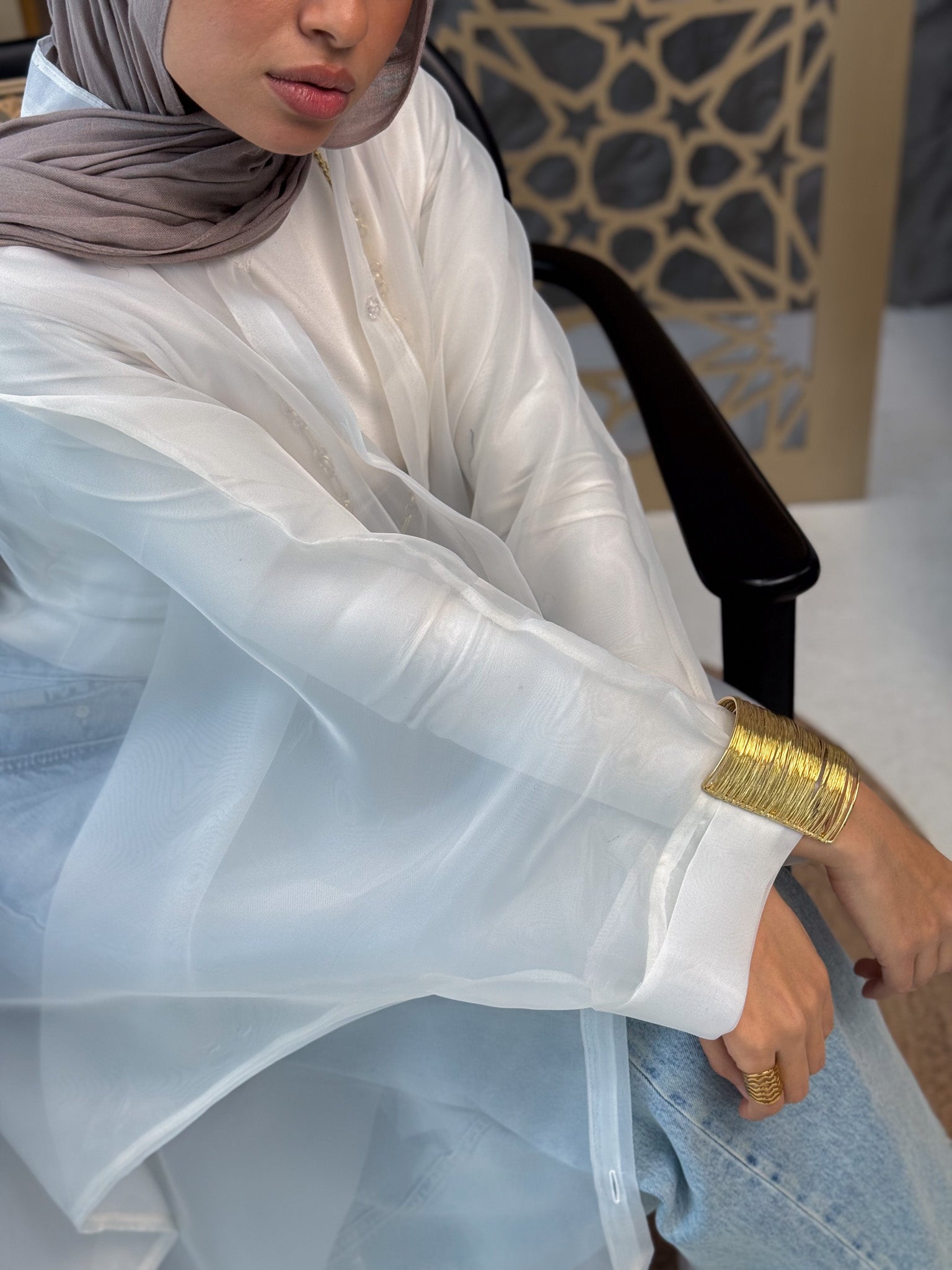 Elegant Sheer Organza Cardigan