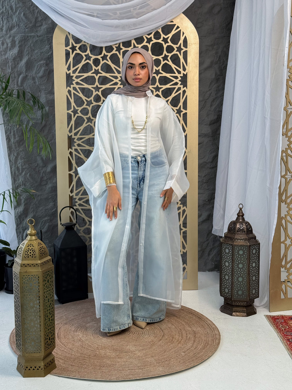 Elegant Sheer Organza Cardigan