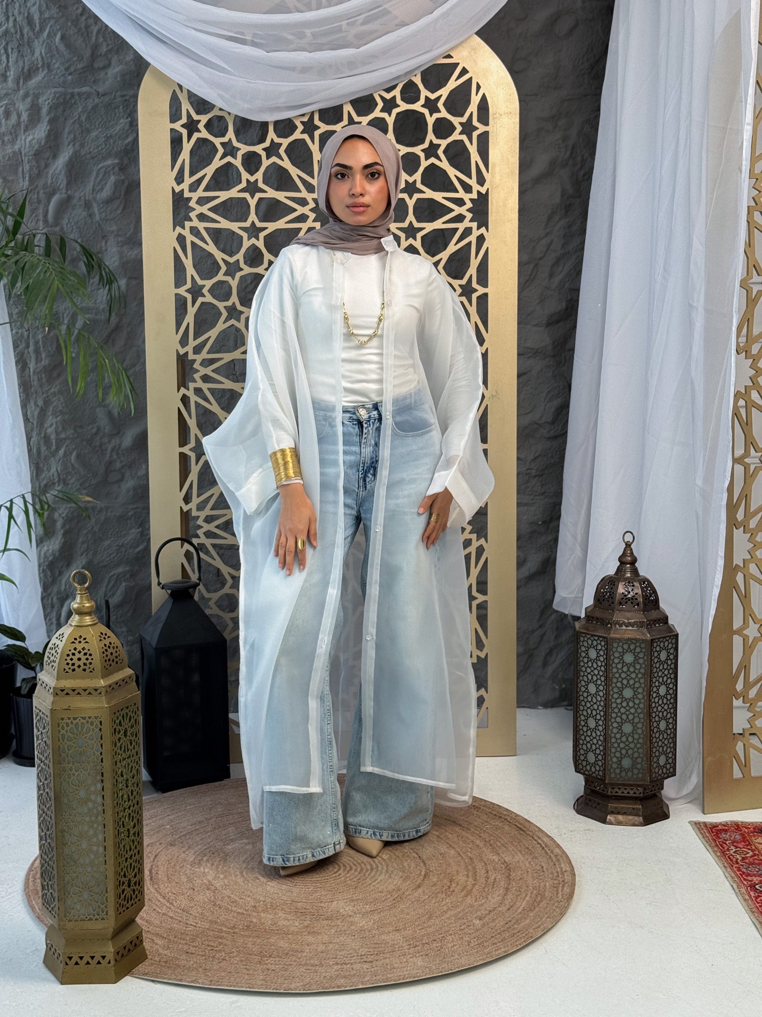 Elegant Sheer Organza Cardigan