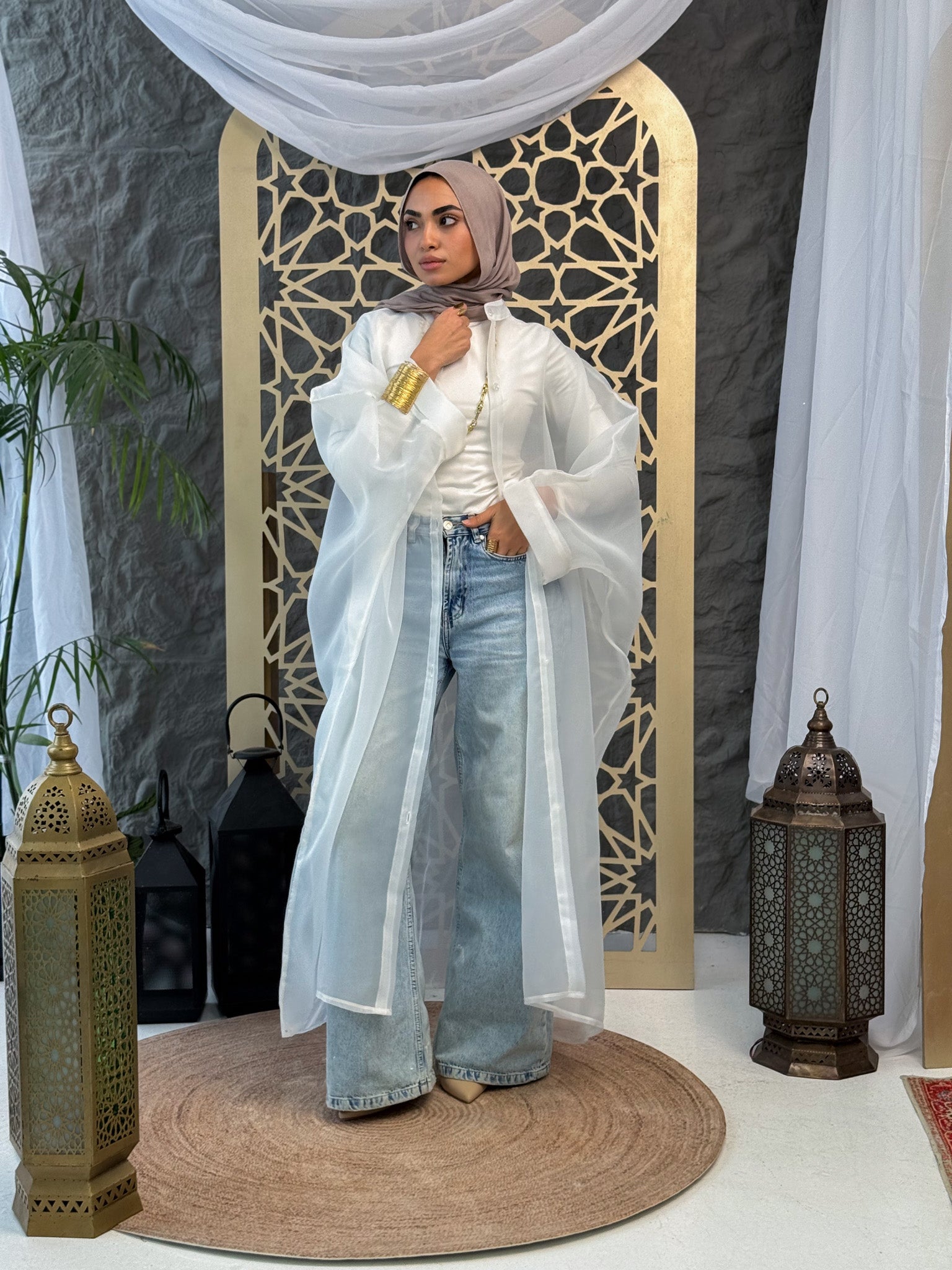 Elegant Sheer Organza Cardigan