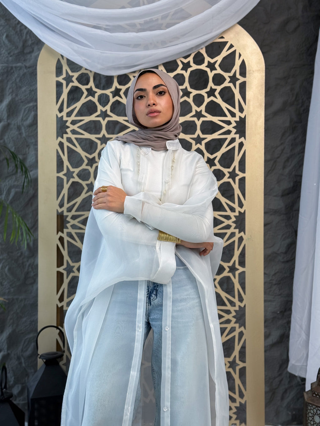 Elegant Sheer Organza Cardigan