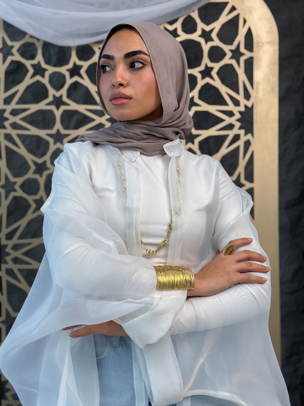 Elegant Sheer Organza Cardigan