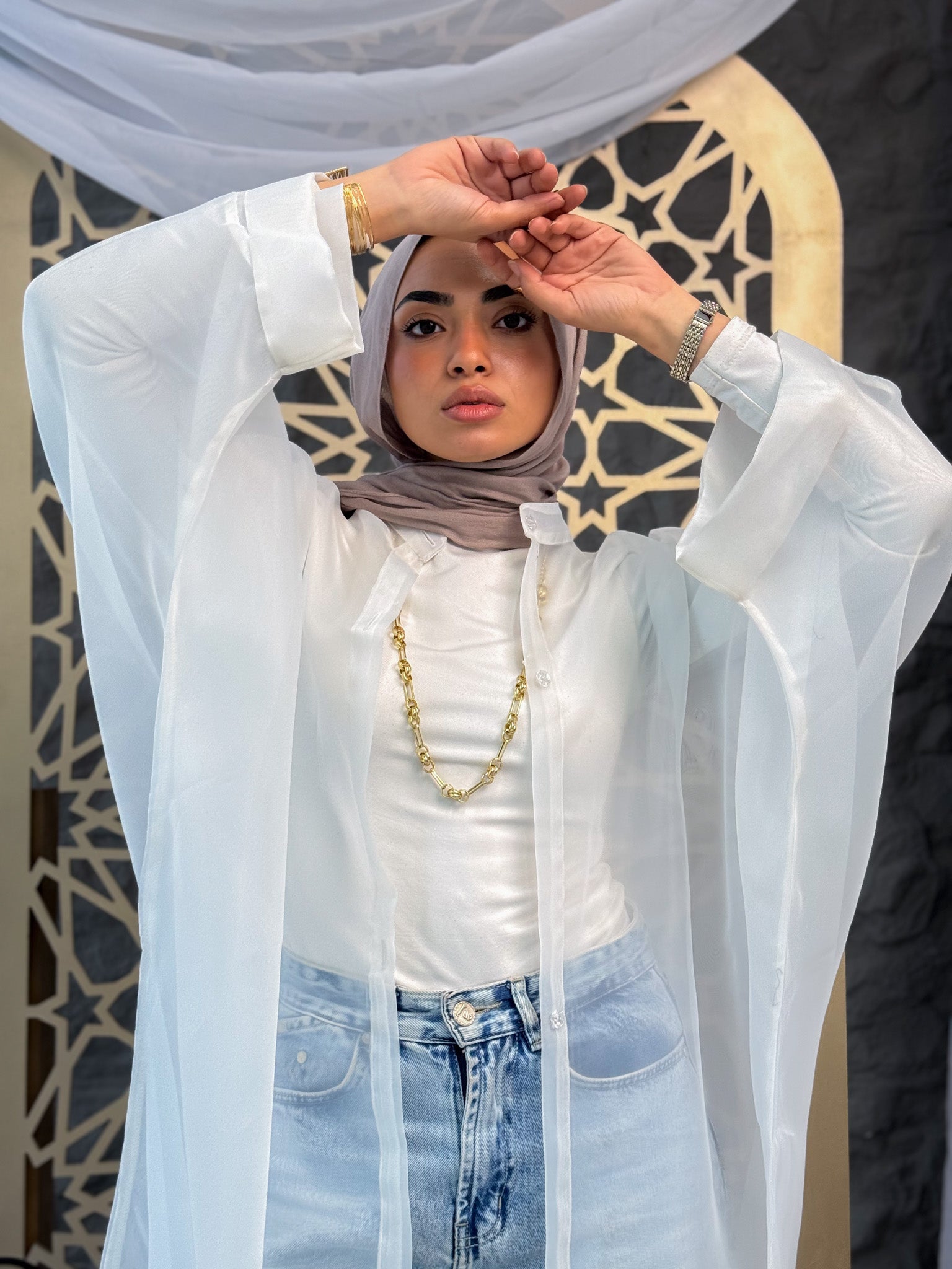 Elegant Sheer Organza Cardigan