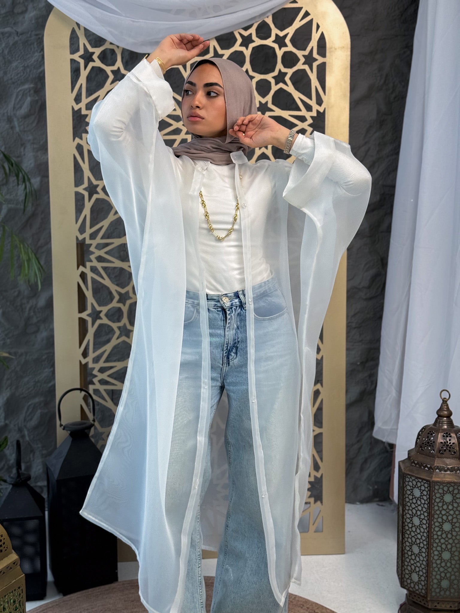 Elegant Sheer Organza Cardigan